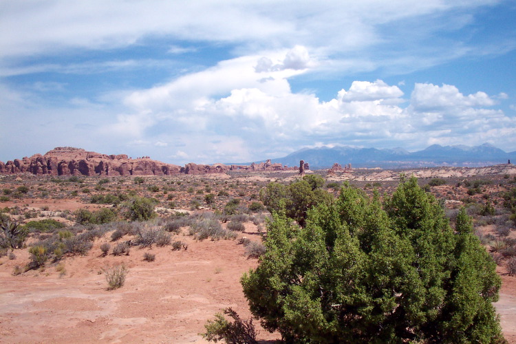 DCP_1200.JPG