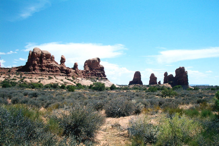 DCP_1204.JPG