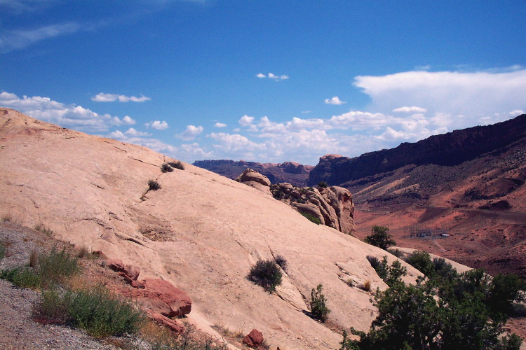 DCP_1183.JPG