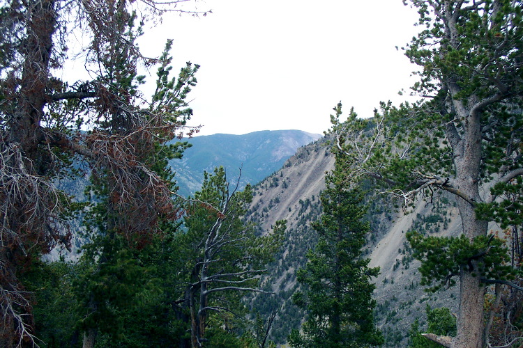 Dropping down into Montana