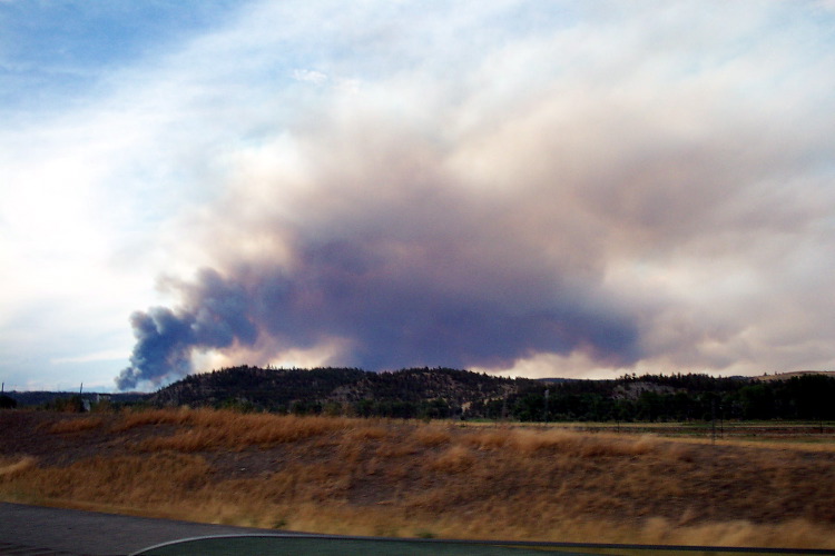 Fire in the distance