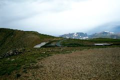 The road ahead