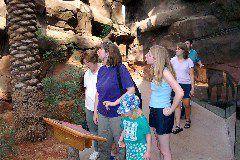Zoo gazers