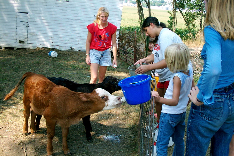 Feeding the babies