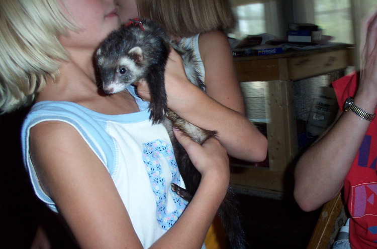 Tucker
