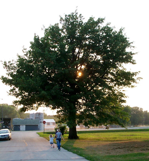 Carson, Iowa Sunset