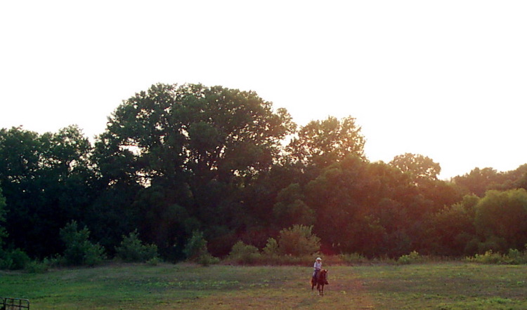 Carson Rodeo Grounds