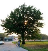 Carson, Iowa Sunset