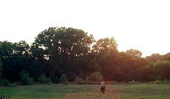 Carson Rodeo Grounds