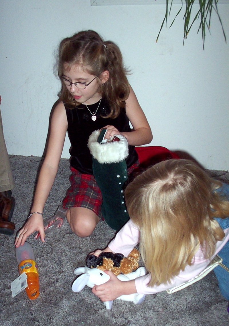 Holly's Stocking