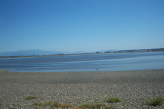 DCP_0014.JPG