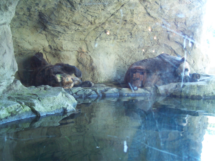 Aug-Oct - 044