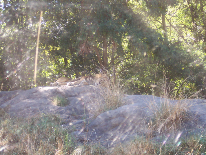 Aug-Oct - 052