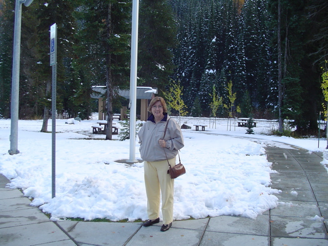 DSC00252