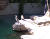 Aug-Oct - 041