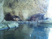 Aug-Oct - 044