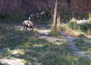 Aug-Oct - 051