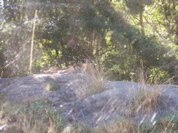 Aug-Oct - 052
