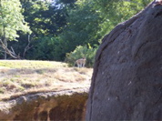 Aug-Oct - 056
