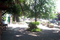 Aug-Oct - 009