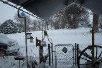 Iowa Snow