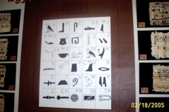 DCP_2335