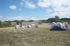 DCP_2451