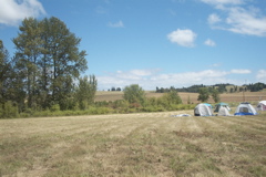DCP_2452