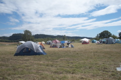 DCP_2453