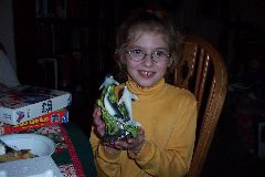 Dolphins & Holly