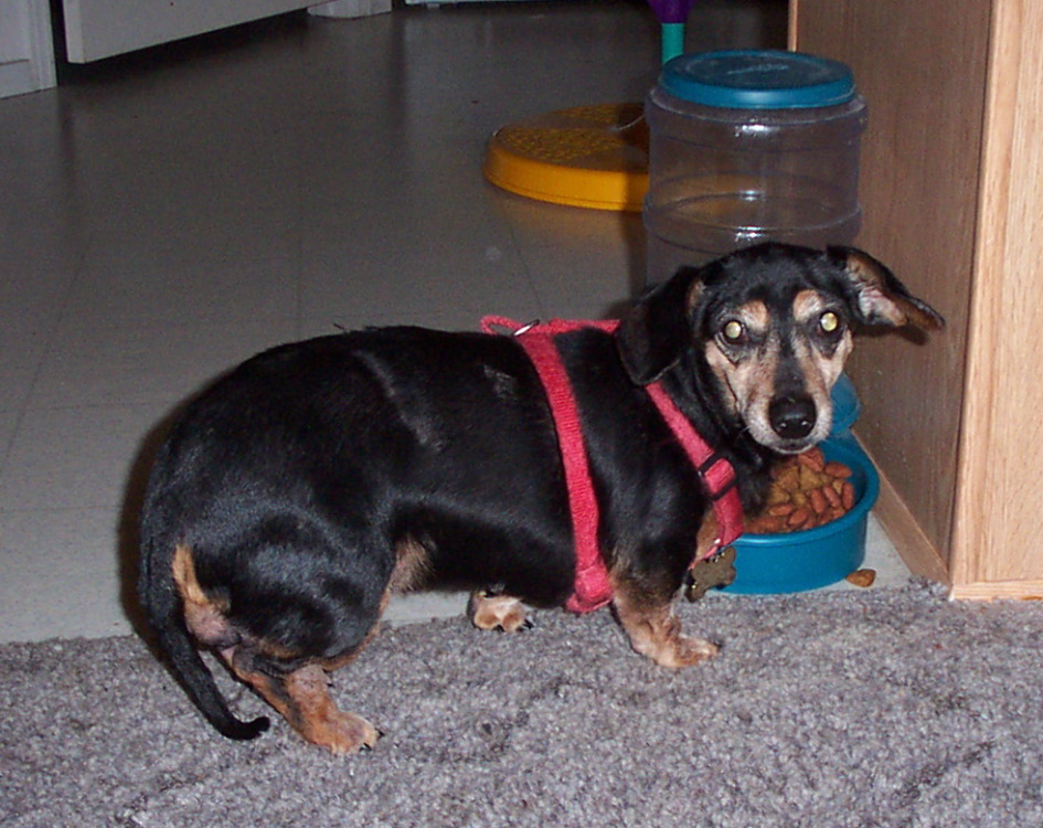 Old Pepper