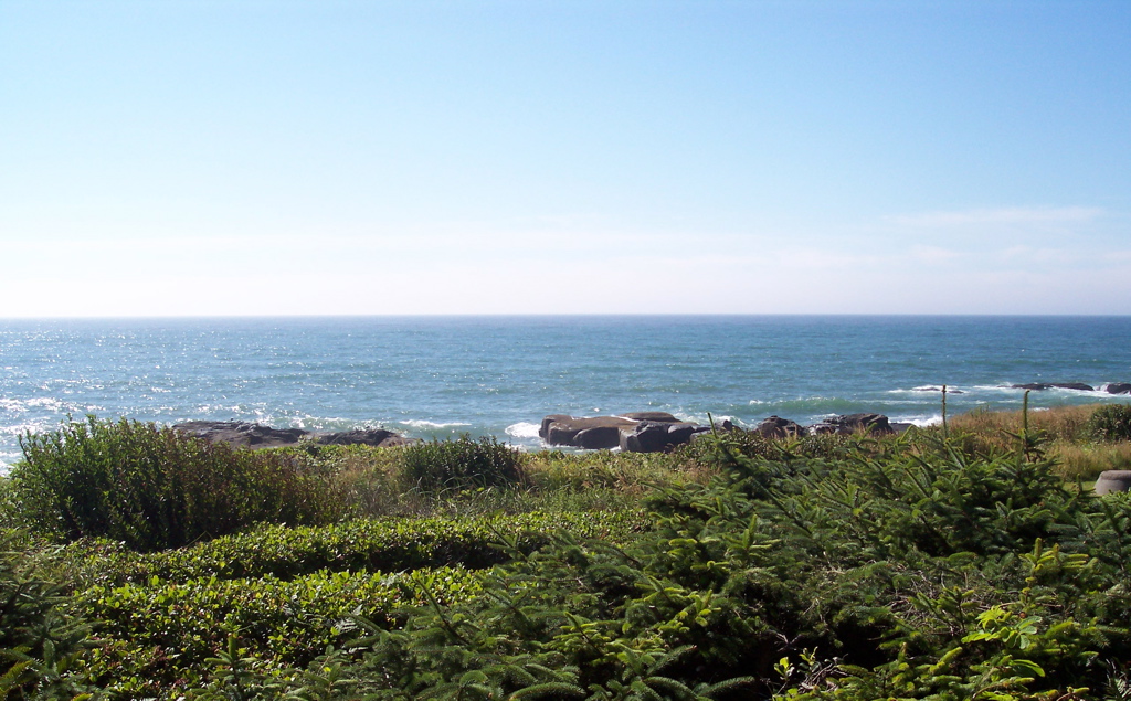 100_0408.JPG