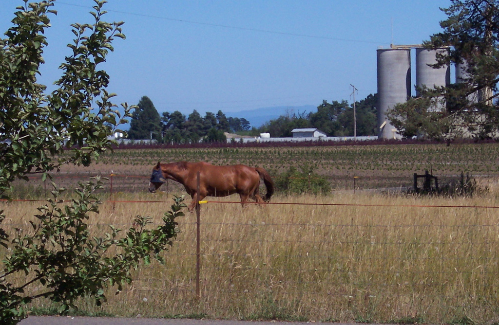 100_0389.JPG