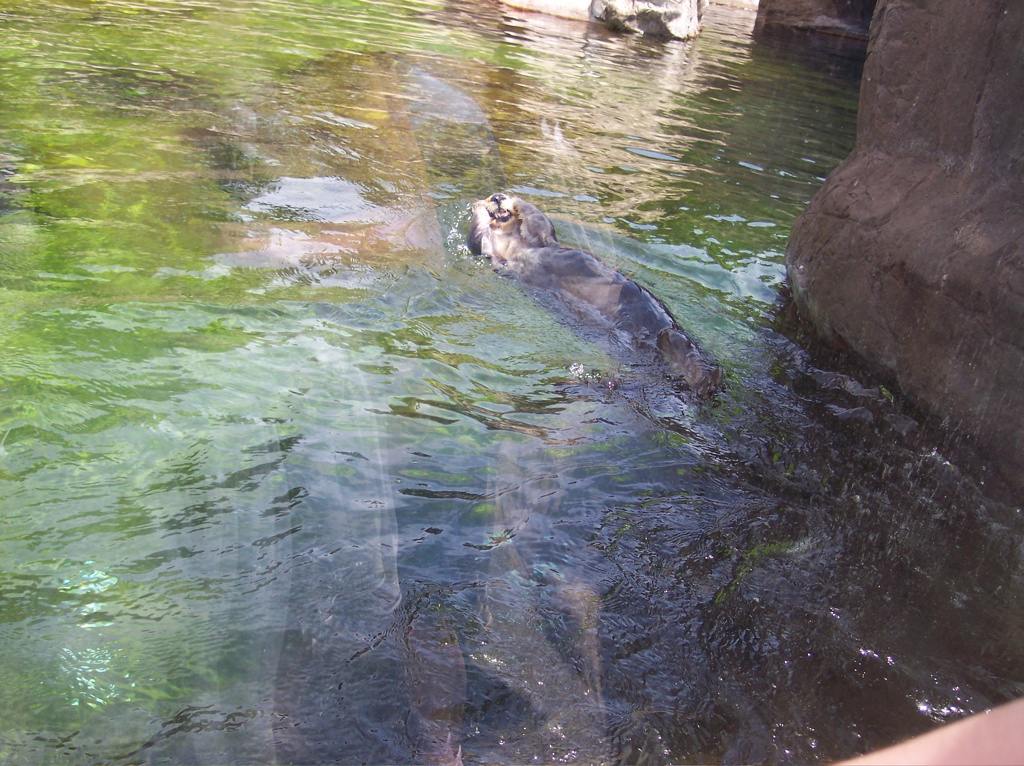 100_0417.JPG