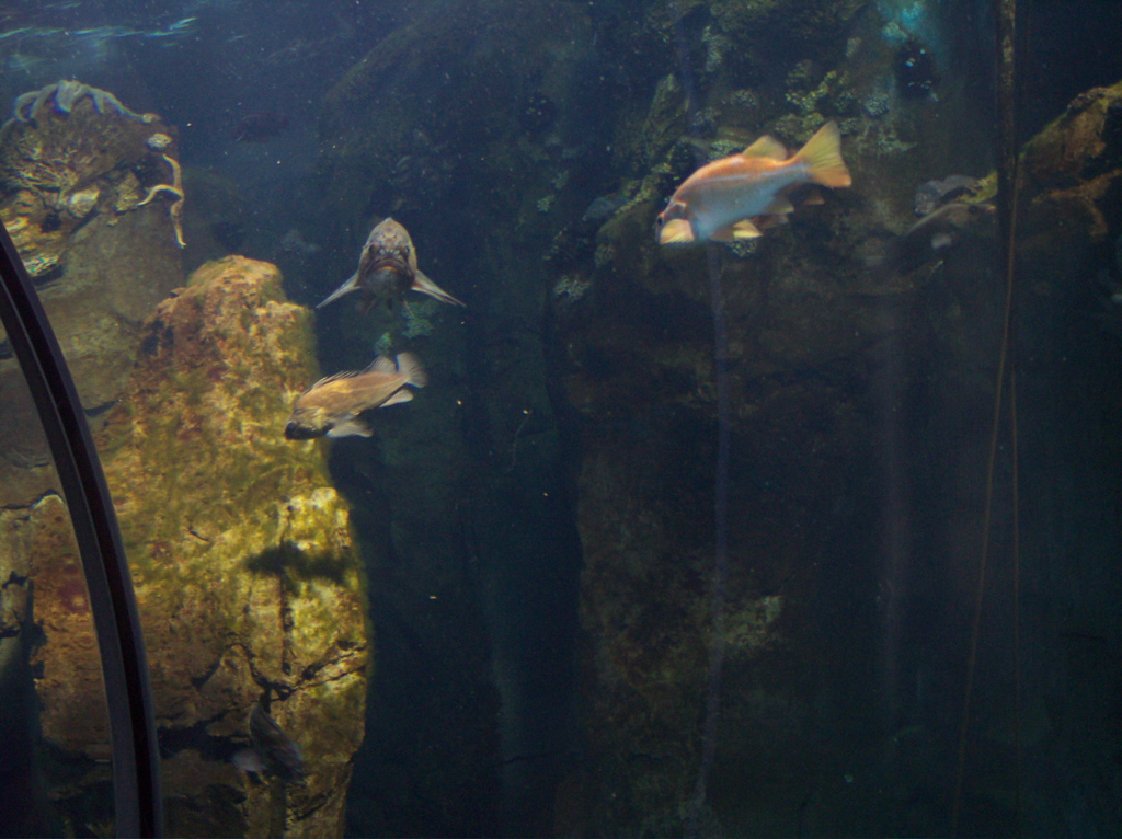 100_0423.JPG