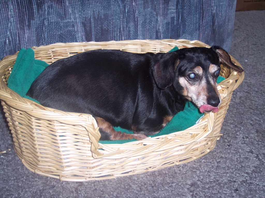 100_0443.JPG