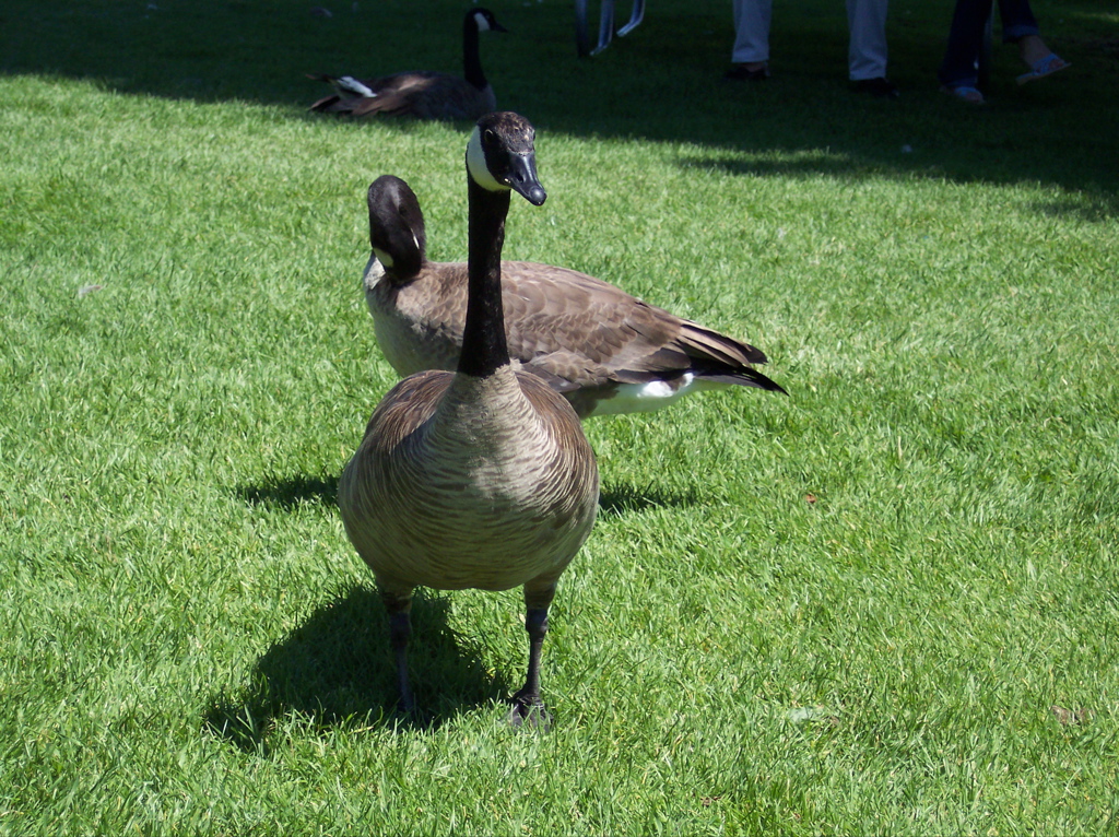 100_0580.JPG