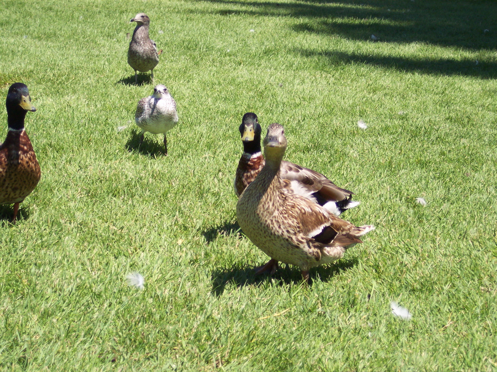 100_0590.JPG