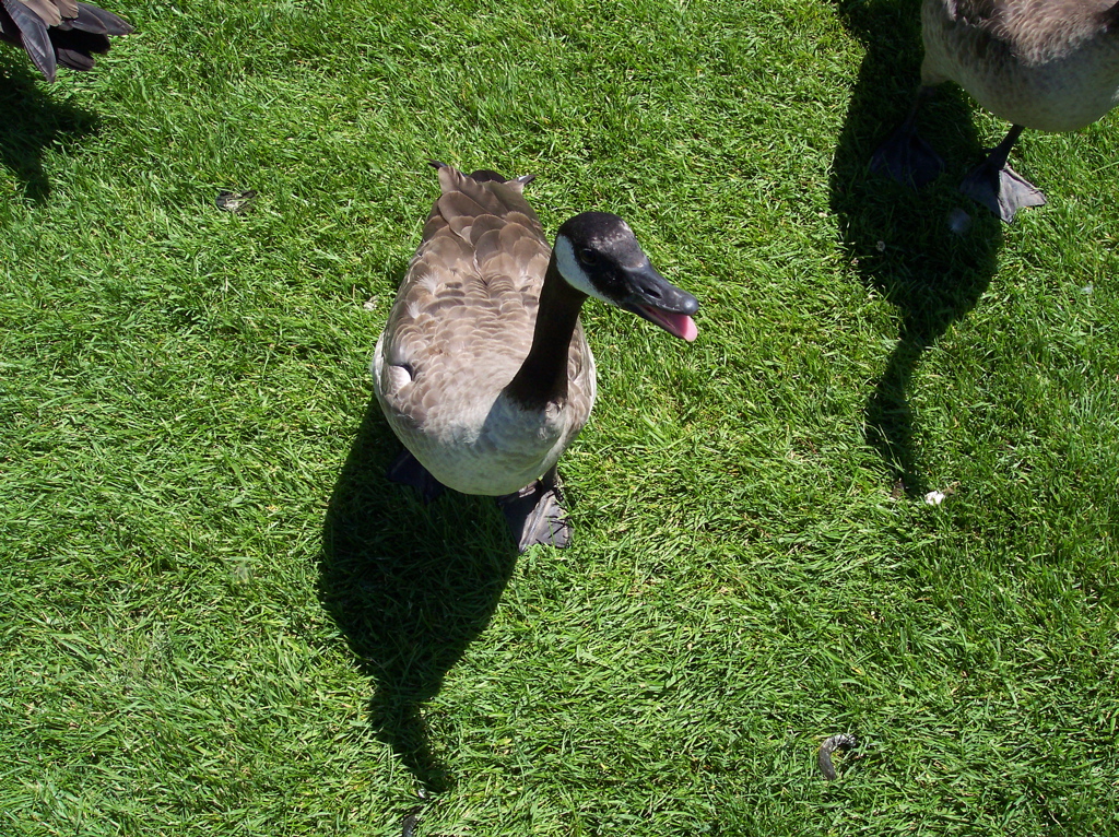 100_0591.JPG