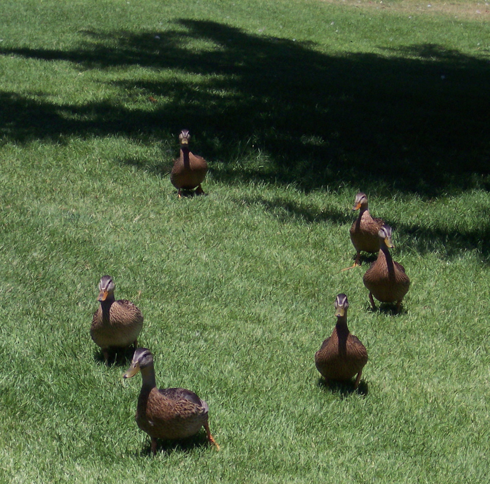100_0601.JPG