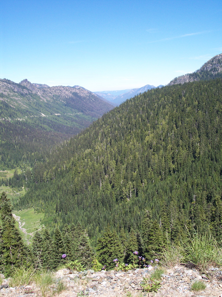 100_0646.JPG