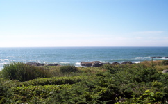 100_0408.JPG