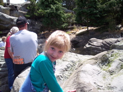100_0412.JPG