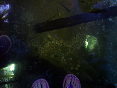 100_0427.JPG