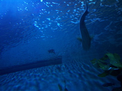 100_0430.JPG
