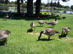 100_0578.JPG