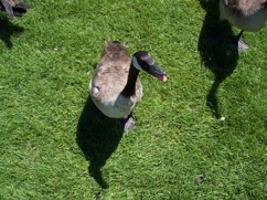 100_0591.JPG