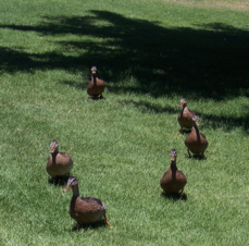 100_0601.JPG