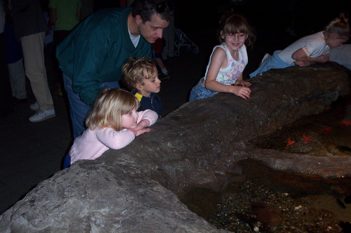 At the Aquarium