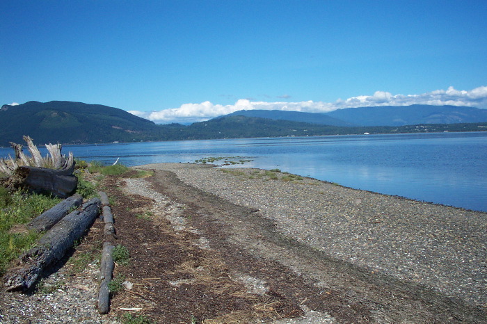 Low tide
